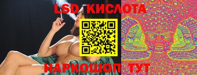 a pvp Свободный
