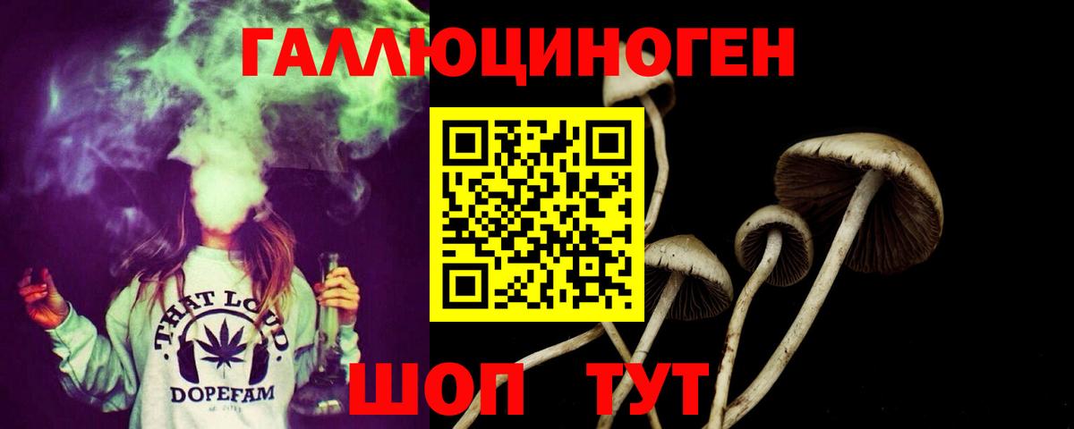 Галлюциногенные грибы MAGIC MUSHROOMS  Галлюциногенные грибы мухоморы  что такое   Вход с VPN  Петропавловск-Камчатский 